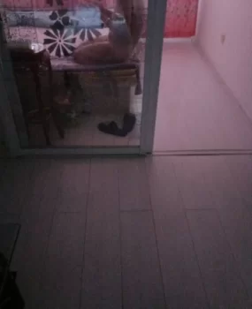 沈阳法库亲测楼凤