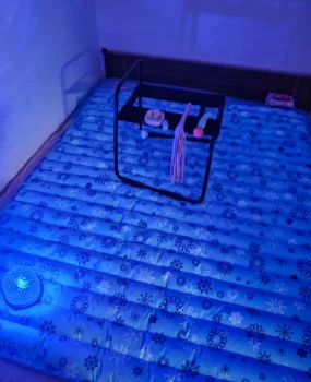 福田特色水床，道具女王