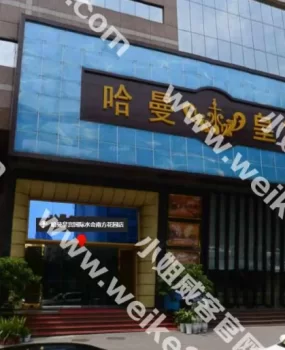 九龙坡区石桥铺哈曼皇宫国际水会