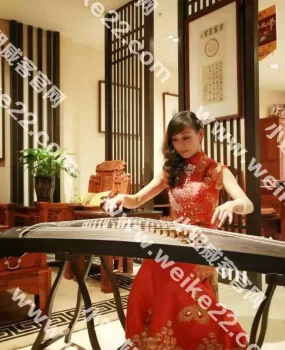 二次冲锋性价比极高的熟女大姐